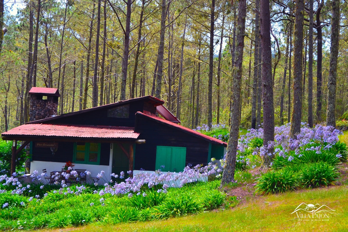 Pico Cruzado小木屋， Villa Pajon生态小屋