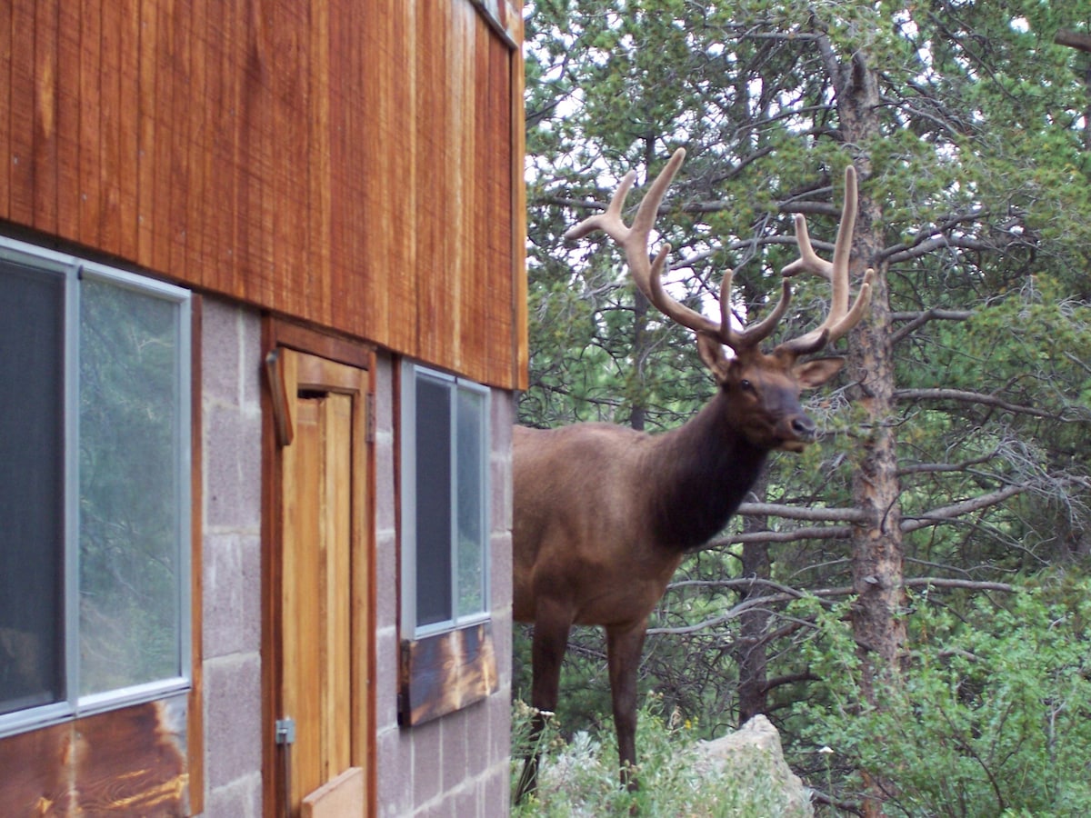 On 9 secluded acres-Mountainbrooks Boulder Cabin
