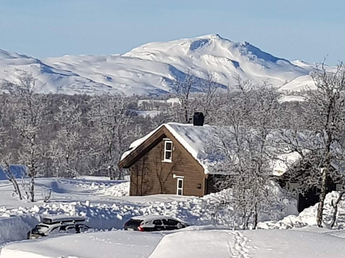 Cabin Leveldåsen, Ål, Hallingdal