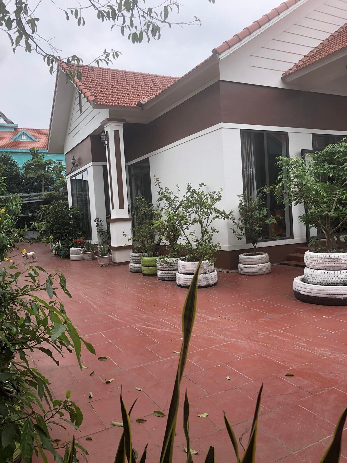 Homestay Thien Huong Tra Thi Mong Cai