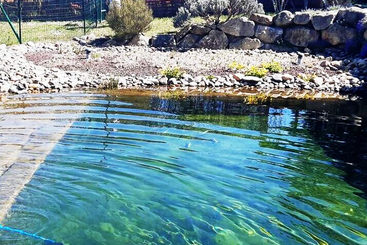 Maison familiale adaptée et piscine naturelle