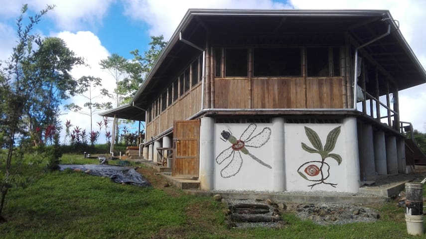 卡维塔(Cahuita)的民宿