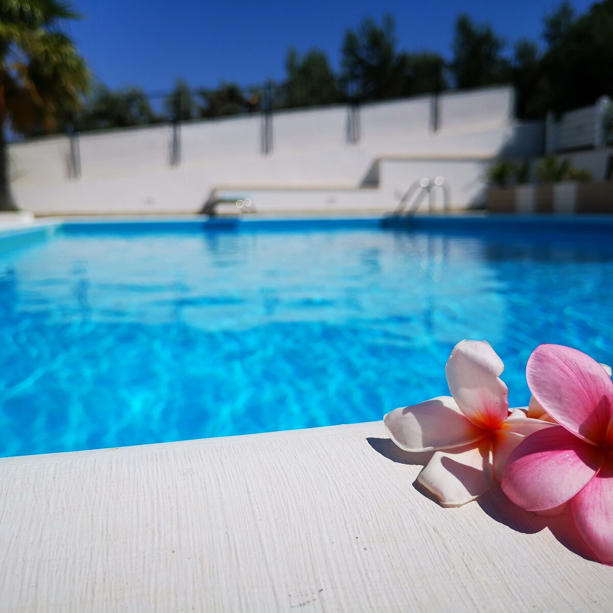 Bellissima Confortevole Villa con piscina privata