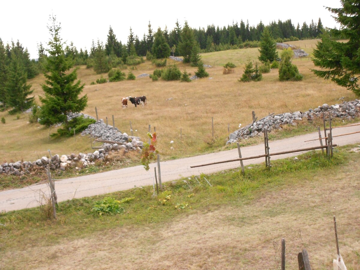 Zabljak idealan odmor