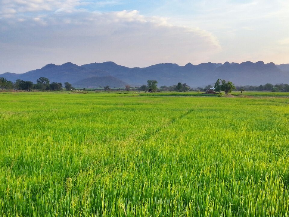 在北碧府（ Kanchanaburi ）休息