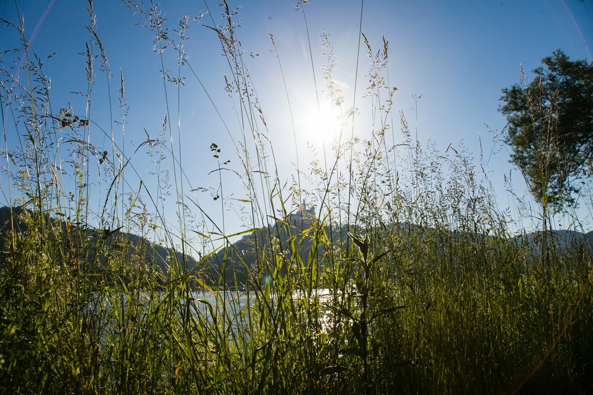 FeWo Marksburg-Panorama, Brey