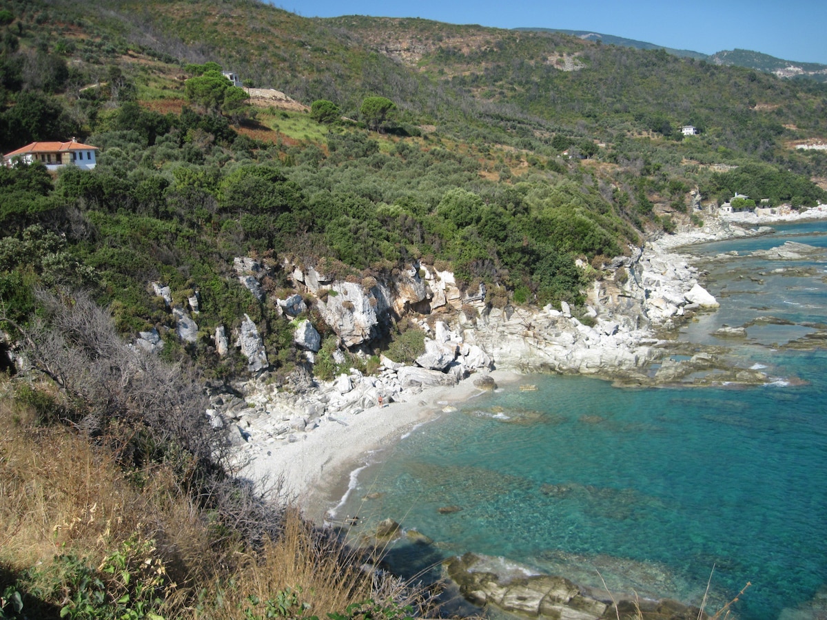 The Olive Cove