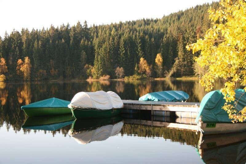 Lake Köhlerei, Lenzkirch