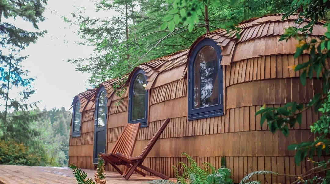 The Cocoon Cottage 🐛