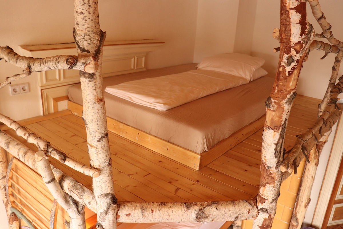 古朴的5床宿舍中的桦木床