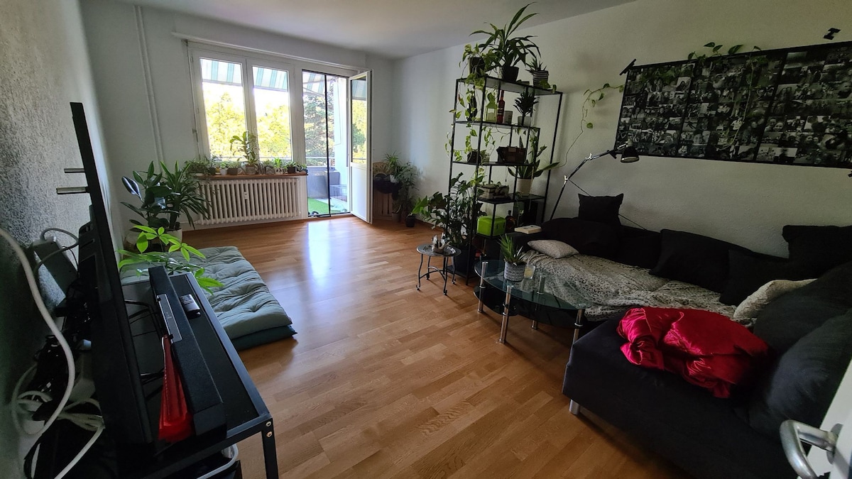 Cozy Apt in Bern near Main Station with Wi-fi