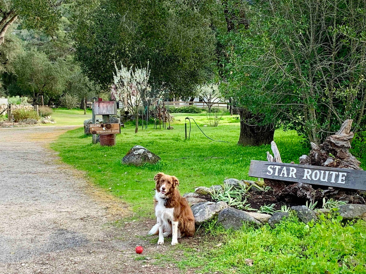 The Bunkhouse Suite at Star Route in the Mountain