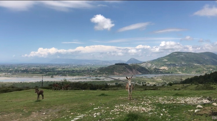 在阿尔巴尼亚的马尔巴德（白山）米洛特野营