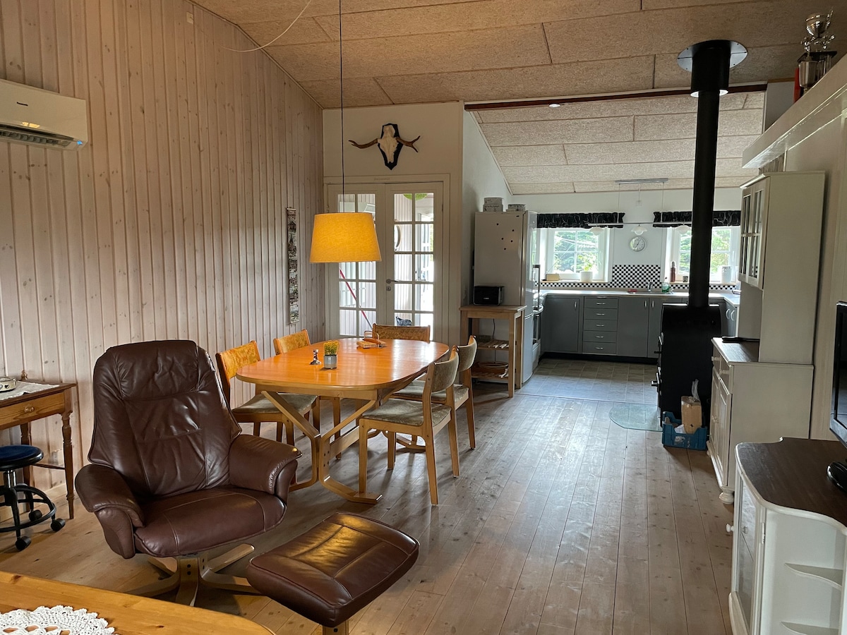 位于乡村的小房子，靠近Rømø