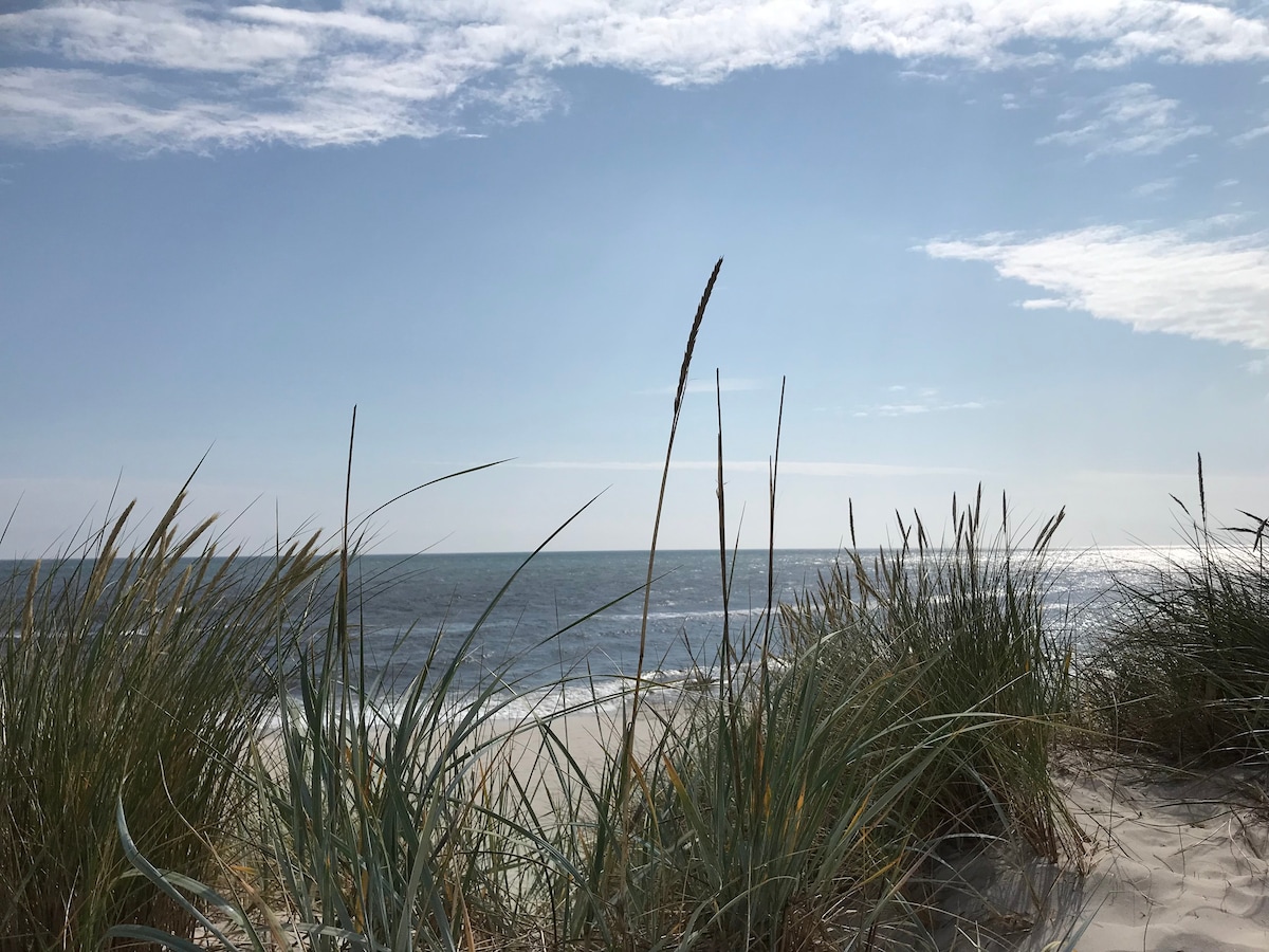 Stuga på naturtomt nära hav och sandstrand.