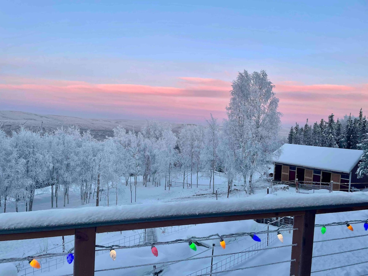Chickadee Lodge- with view of the Northern Lights!