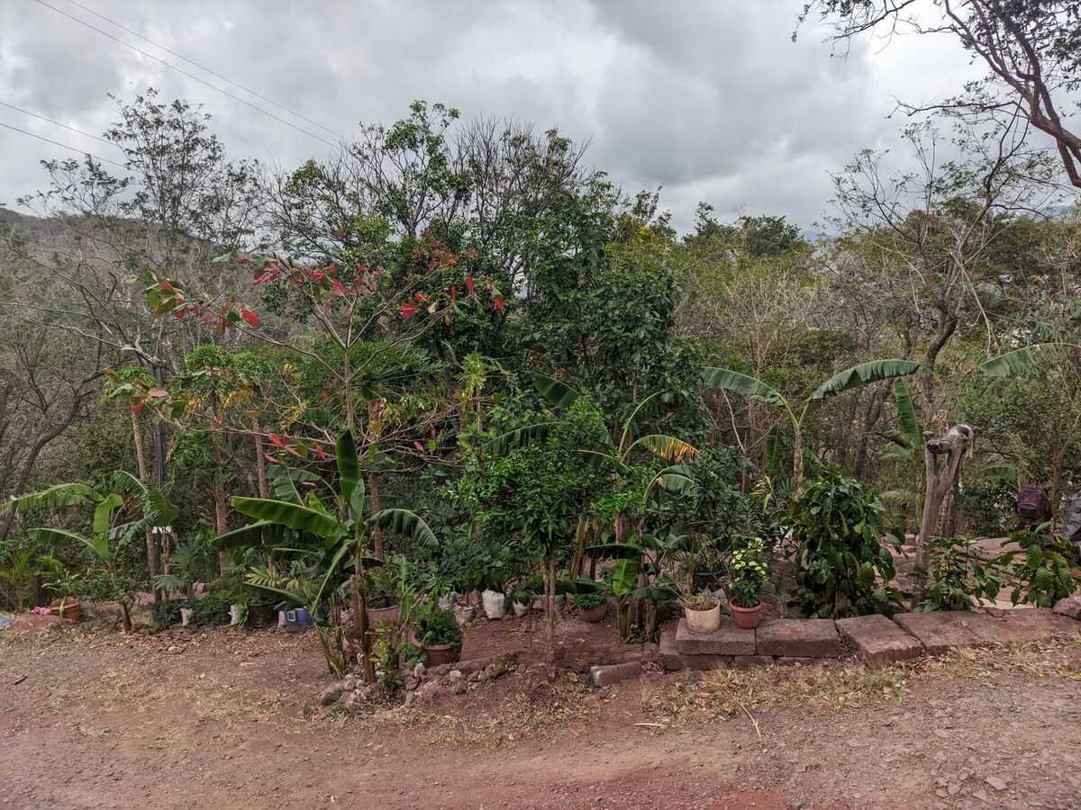 Habitación Las Palmeras