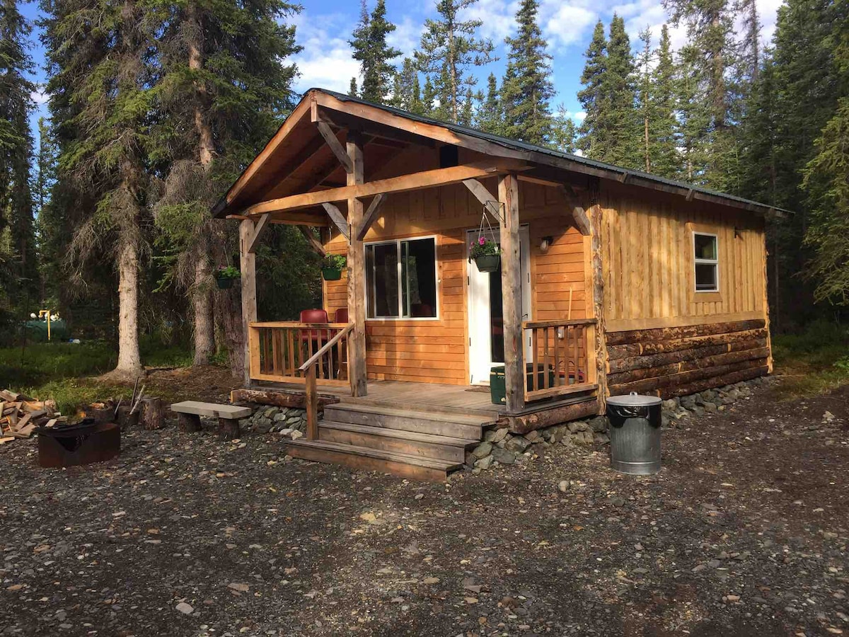 Denali NP附近的Tim 's Cabin