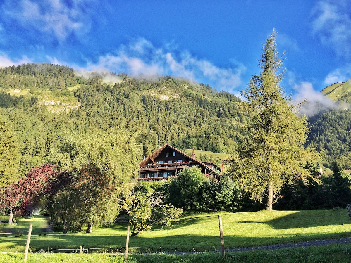 适合团体、度假和活动的大型瑞士度假木屋