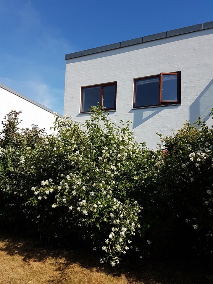 Guest room in Roskilde