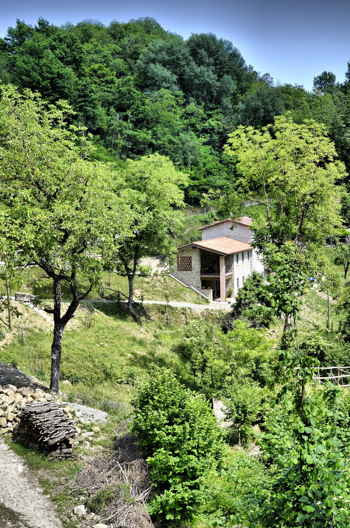 住宿加早餐旅馆