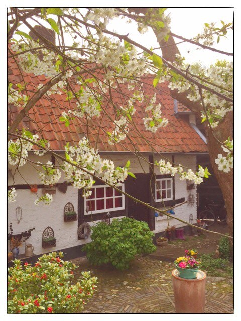 Lodging Cottage at the Courtyard