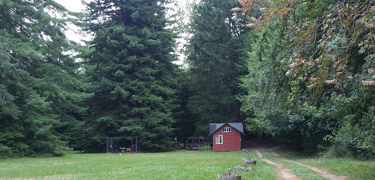位于红杉林的露营小木屋。 河滨15英亩。