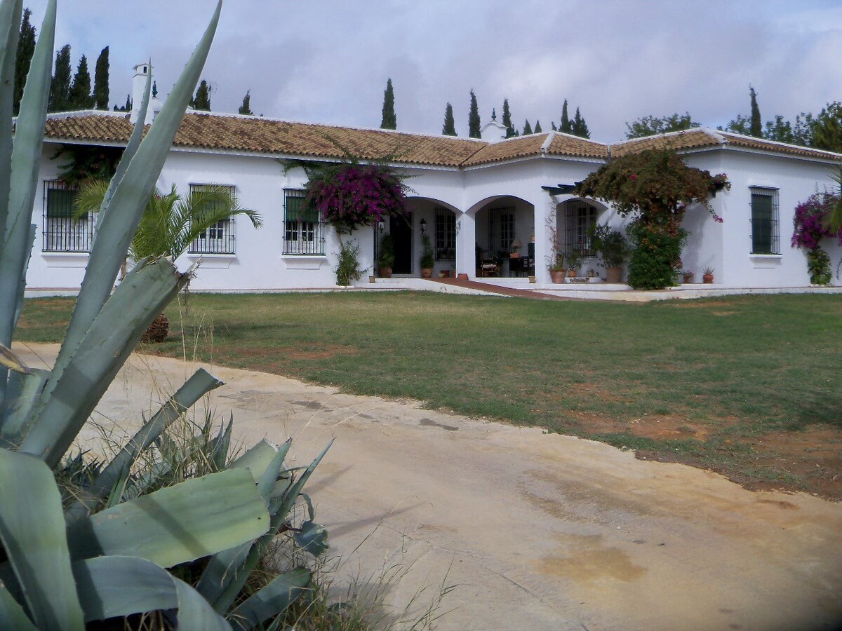 Hacienda Andaluza 1号房间