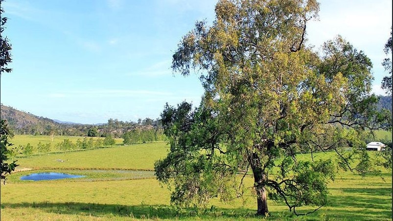 Bellbrook Historic Getaway - Bellmeadow Homestead