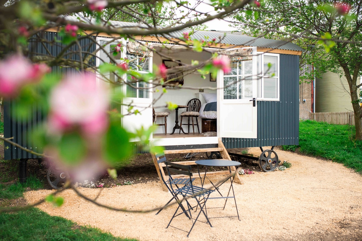 牧羊人茅屋（ Drift View Shepherds Hut ）