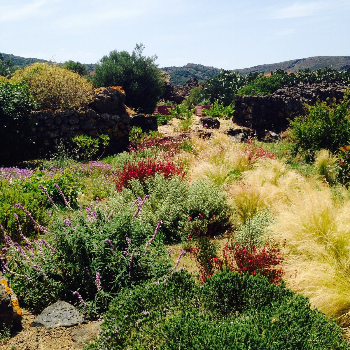 Dammuso Artemisia. Pool, flowers between sea/lake