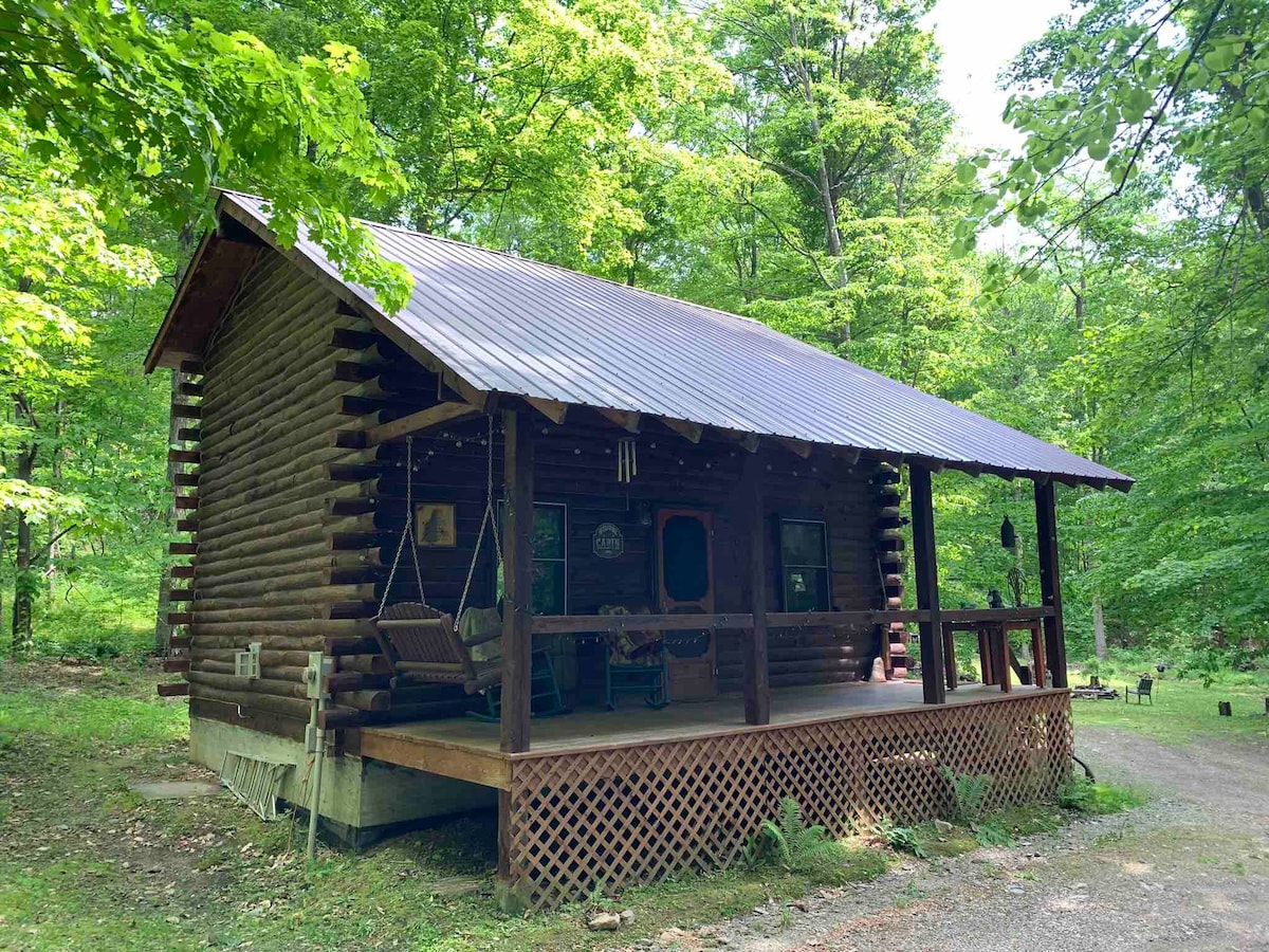 坐落在森林中的古朴原木小木屋