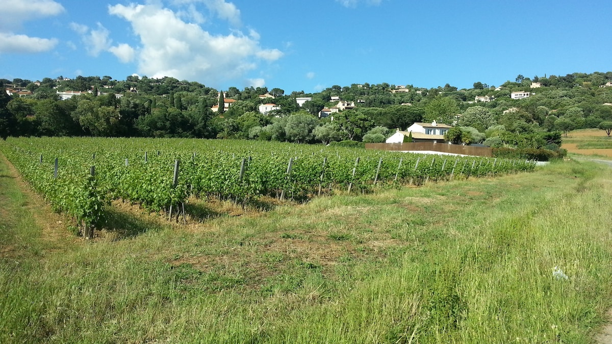 Villa la Tabarine entre vignoble mer et village