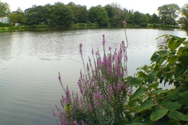 Spring Lake -湖畔客房