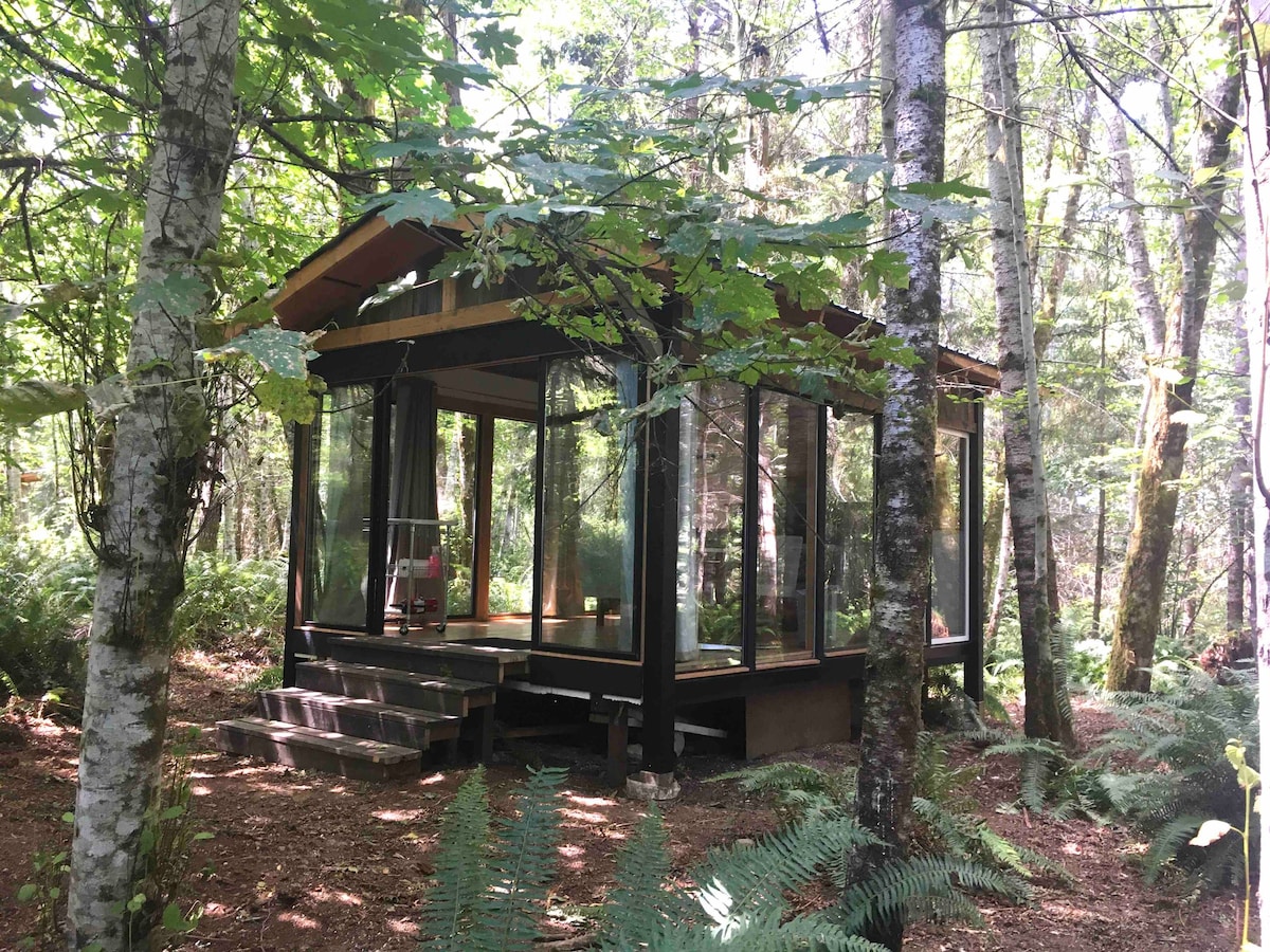 森林里的玻璃屋
