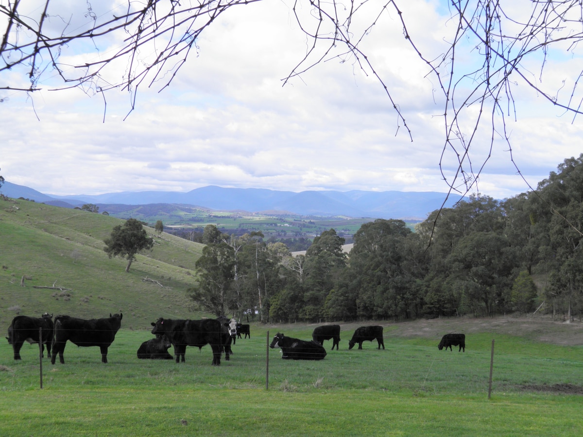 Yarra Glen -宁静的度假胜地，美丽的景观。