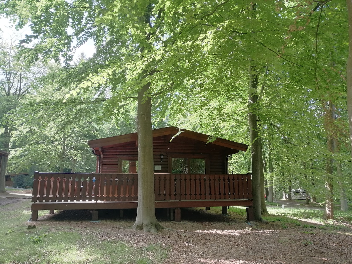 Hawthorn Lodge - Woodland Cabin with Hot Tub