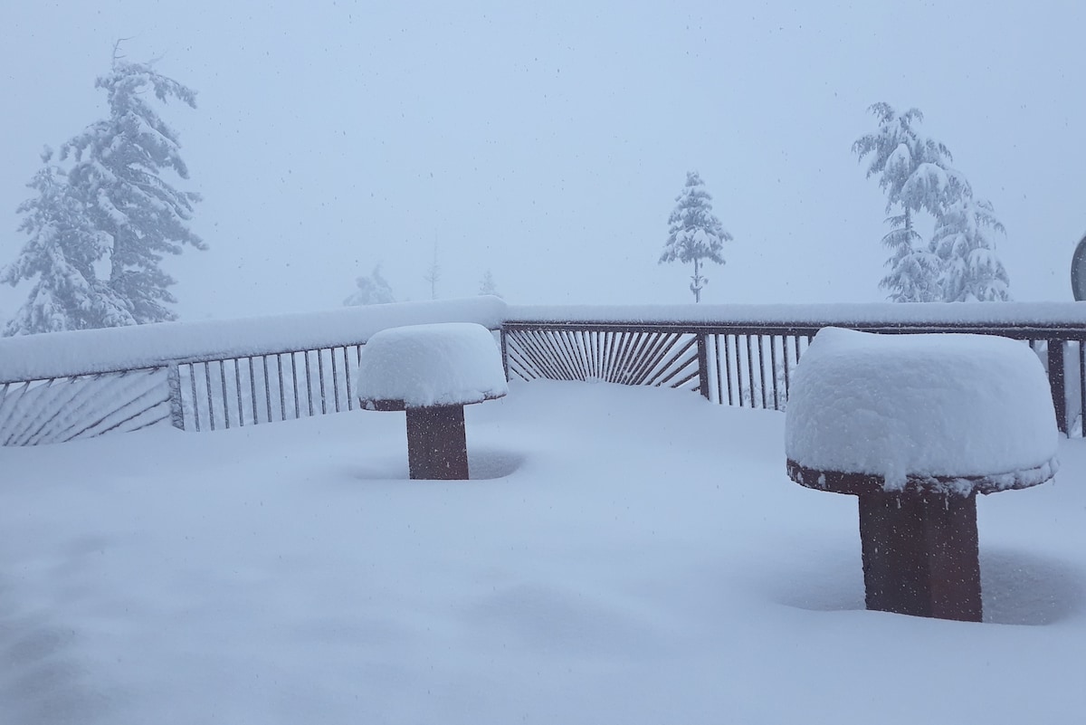 「雪天堂之旅」