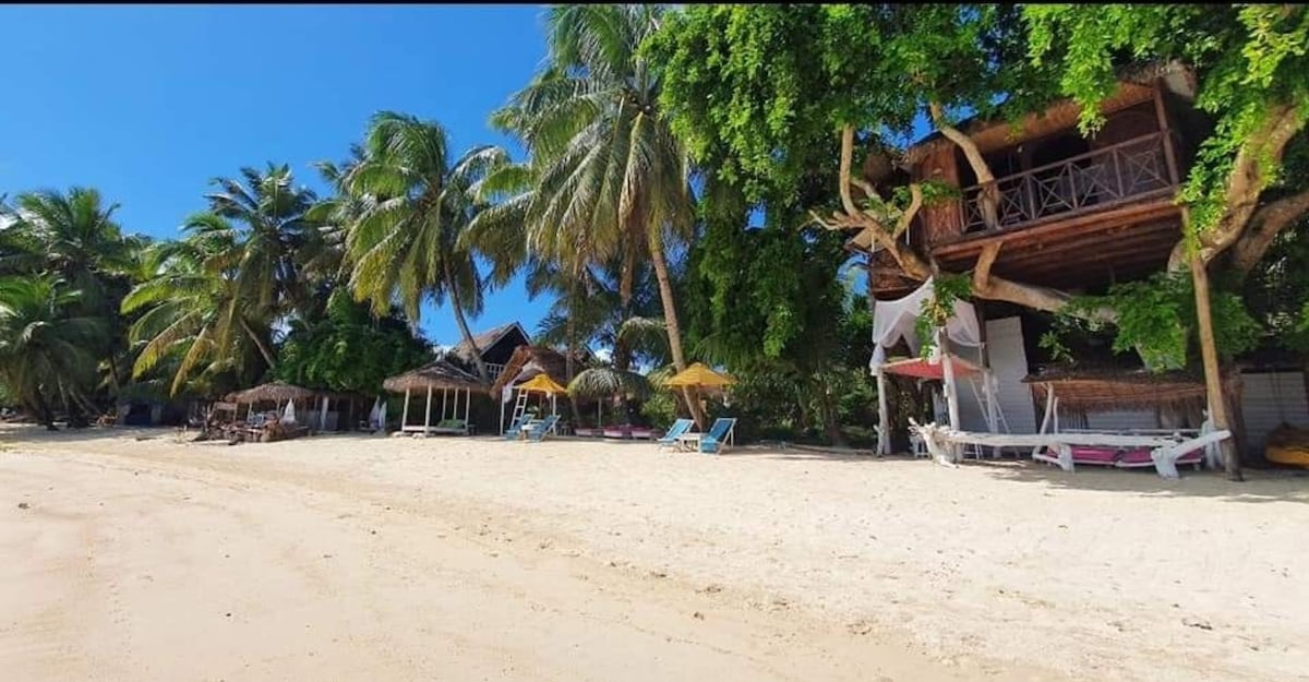 树屋，在海滨海景