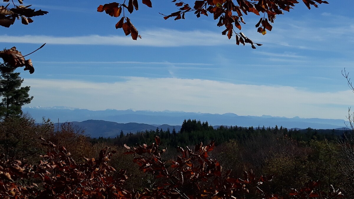 La Cabane des Fayards