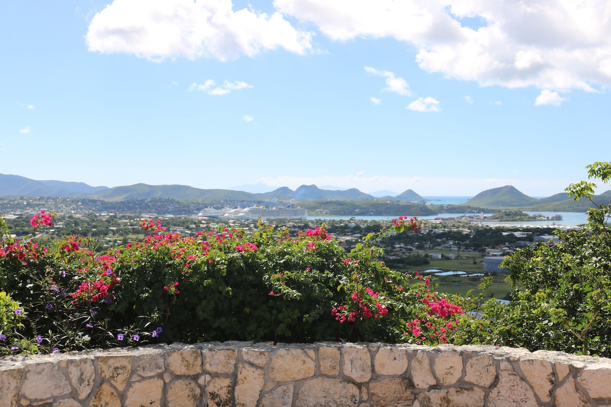 Nicole's BnB with a View of the Caribbean Sea!