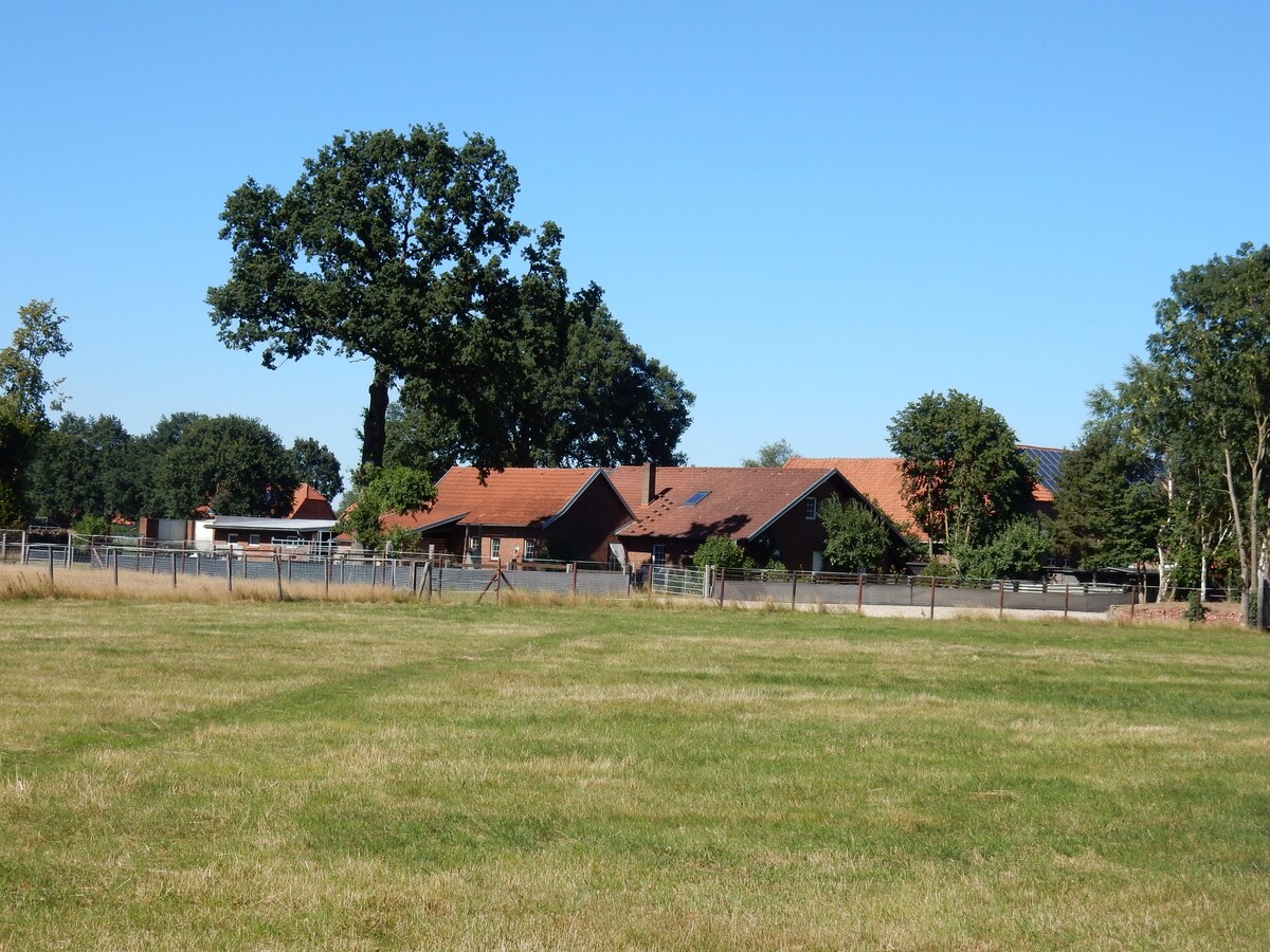 Reiterhof Ferienhof Düdinghausen