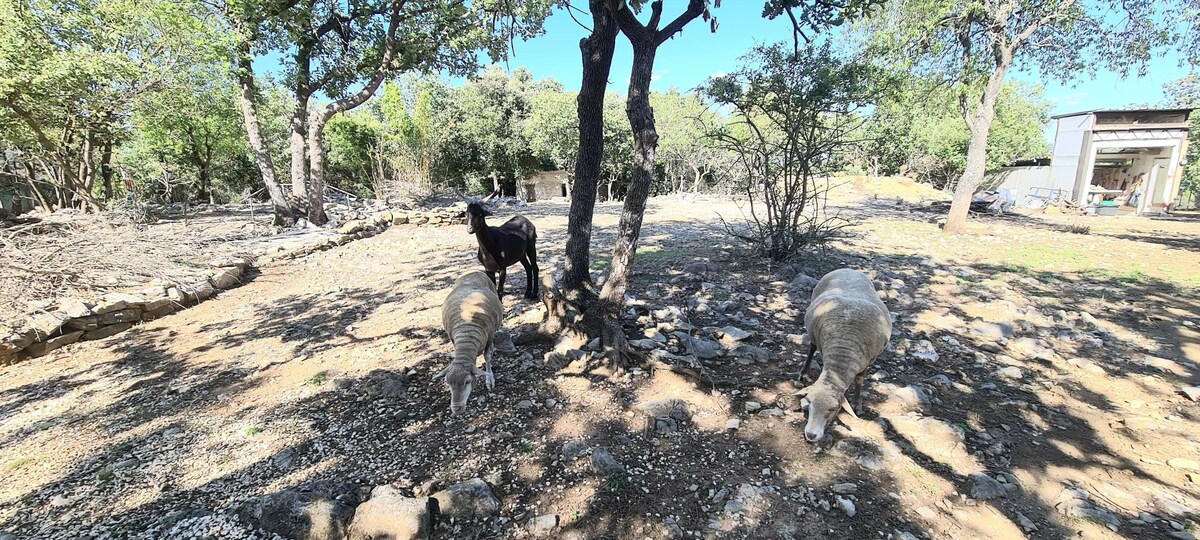 Gite de charme en provence verte .NATURE, REPOS,