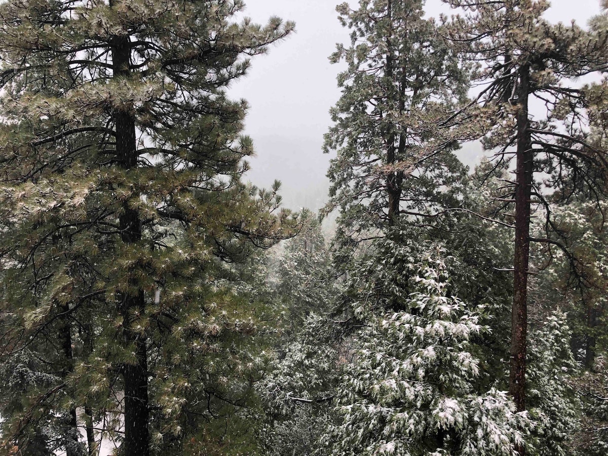 温馨的山间度假胜地！可以携带宠物！