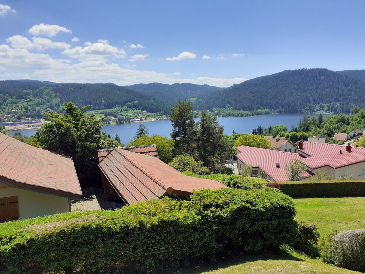 湖景复式公寓型住宅