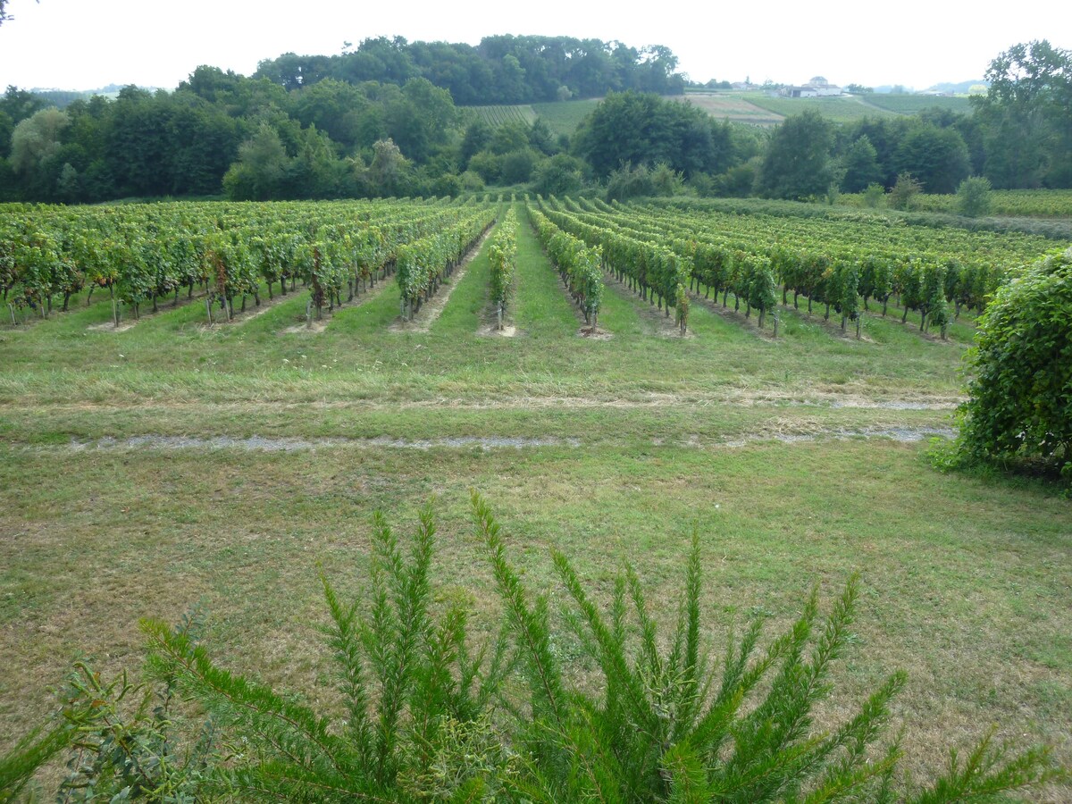 Domaine Charruaud Maison Calypso Piscine privée