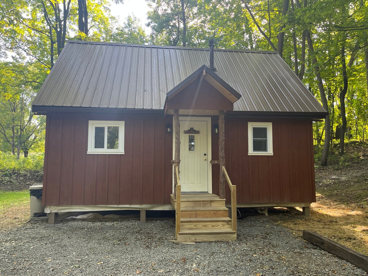 Livingston cabin