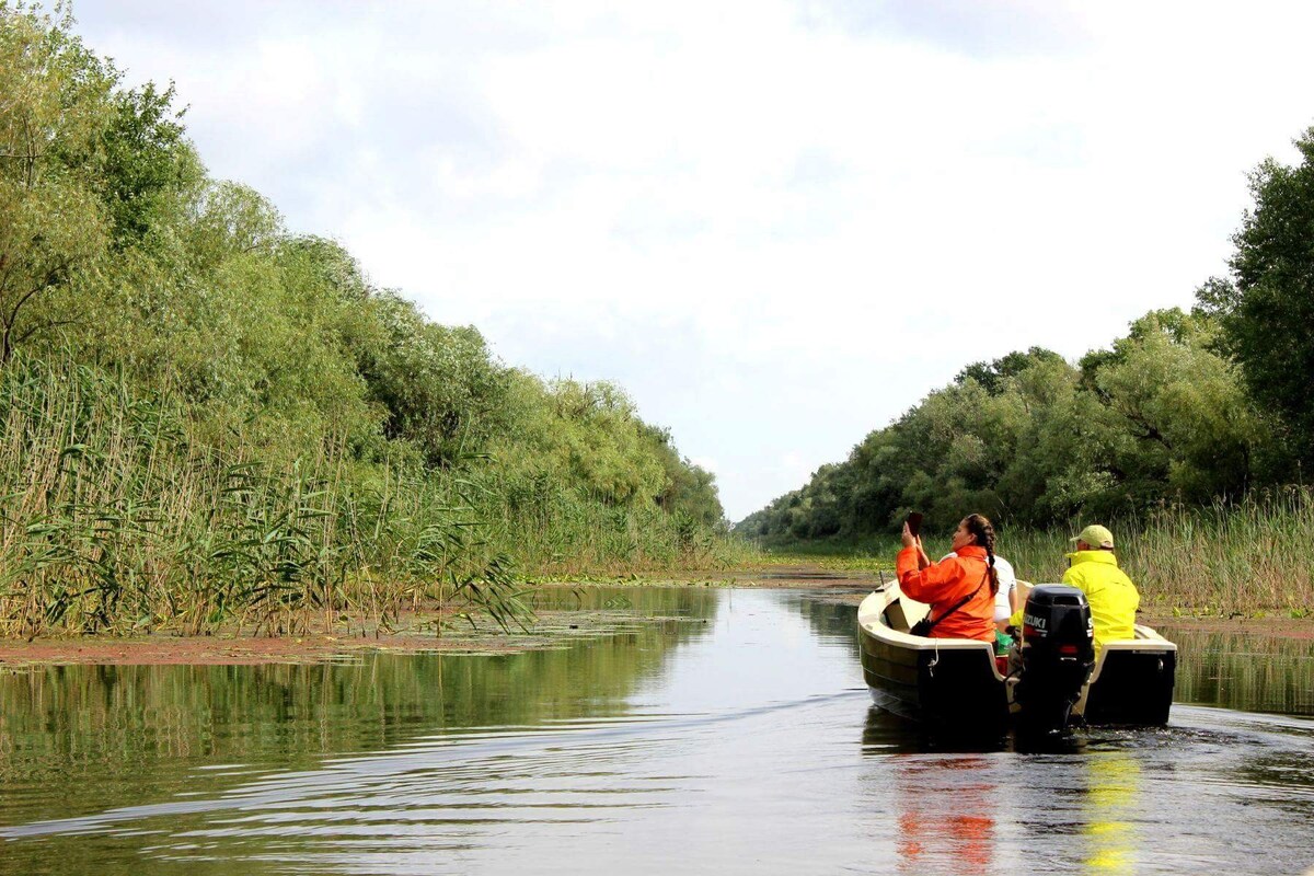 Danube Delta Wildlife-Watching Boat Tours