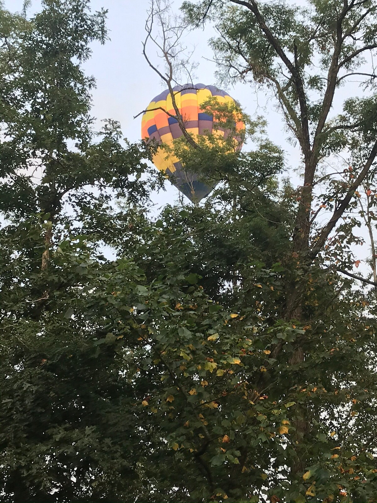 带私人甲板的僻静空间