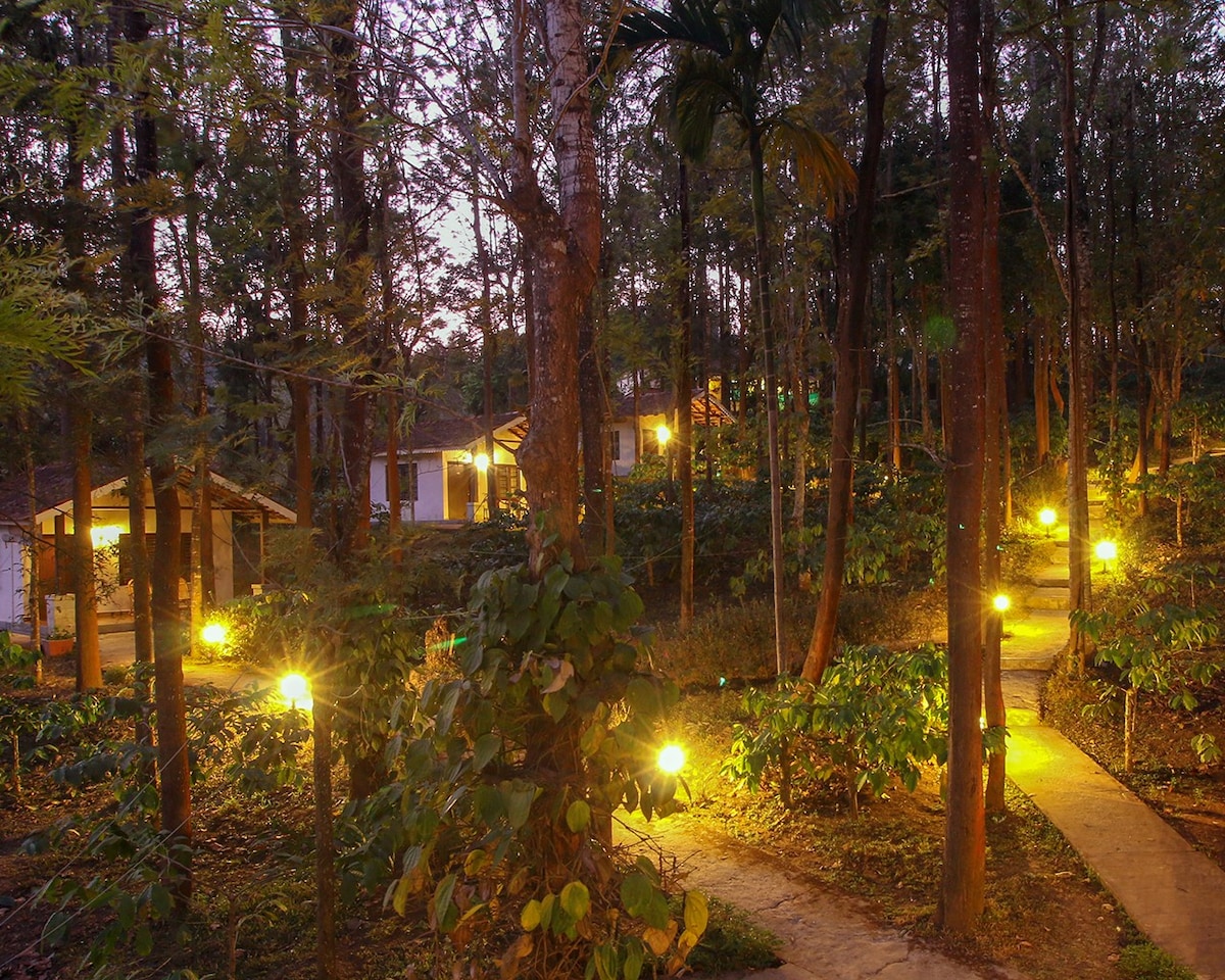 TGC ： M30-Cottages Amidst Mudumalai Forest （ Food Inc ）